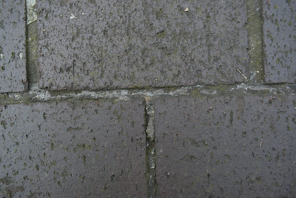 DSC_0010
