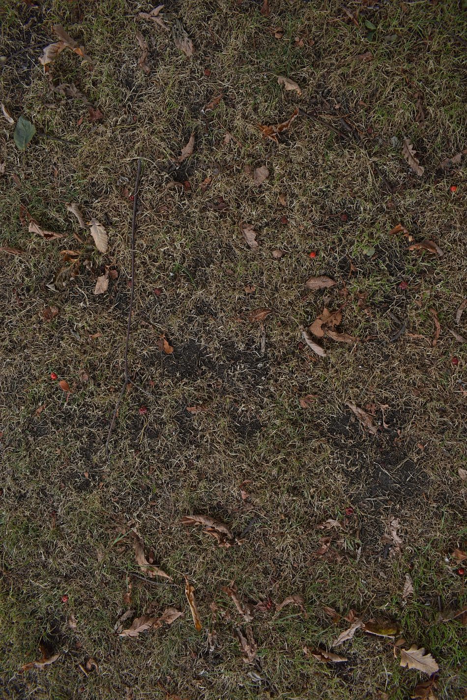 DSC_0023