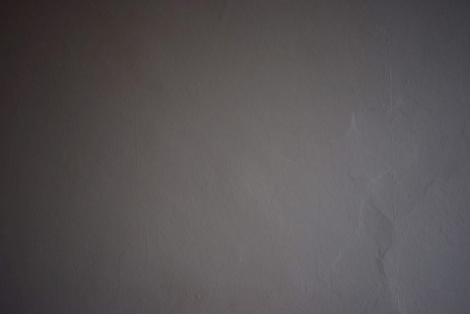 DSC_0029