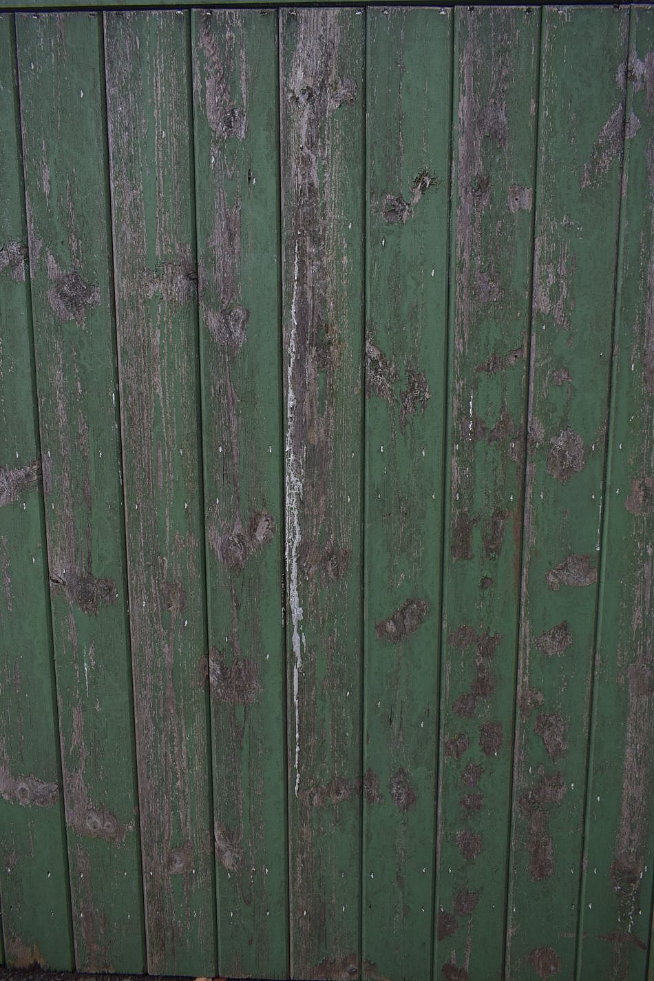 DSC_0084