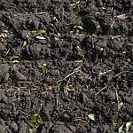 DSC_0125