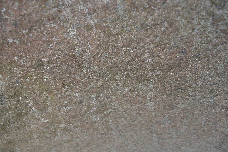 DSC_0135-min
