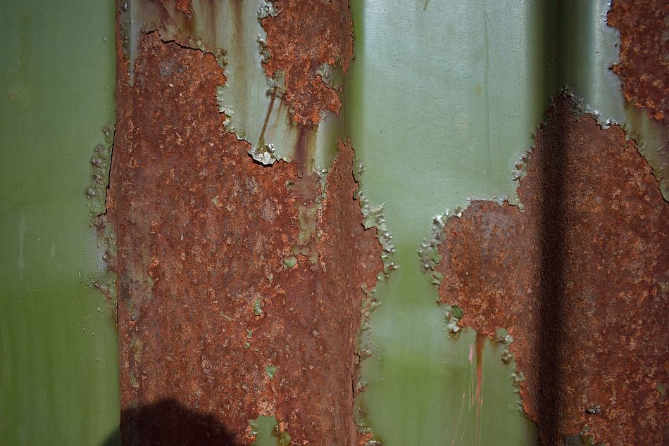 DSC_0164