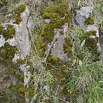 DSC_0172-min