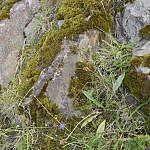 DSC_0173-min