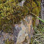 DSC_0175-min