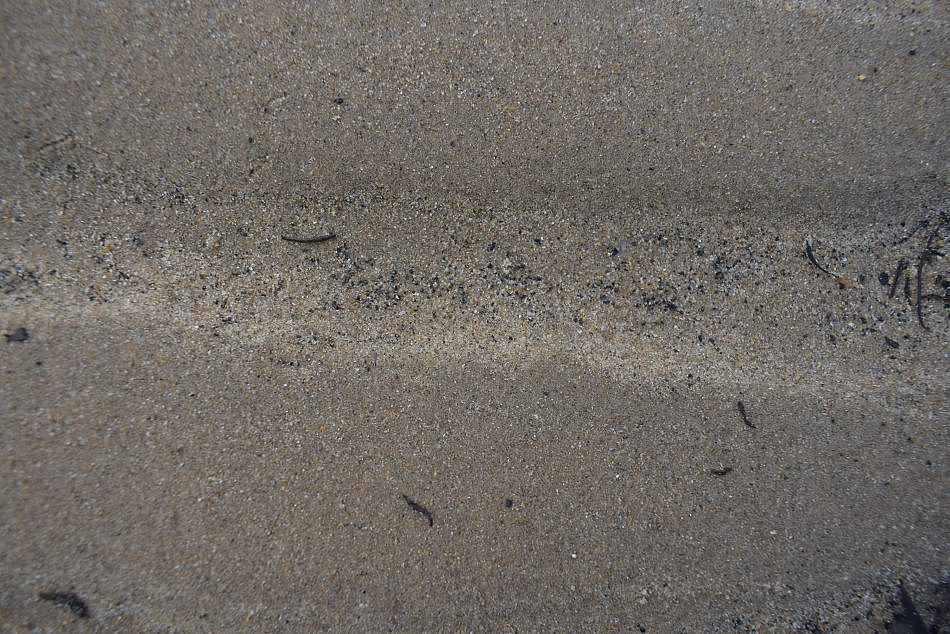 DSC_0192-min