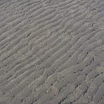 DSC_0194-min