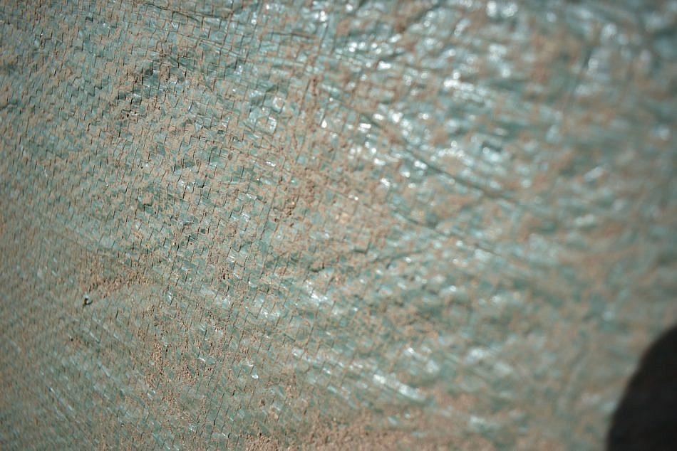 DSC_0195