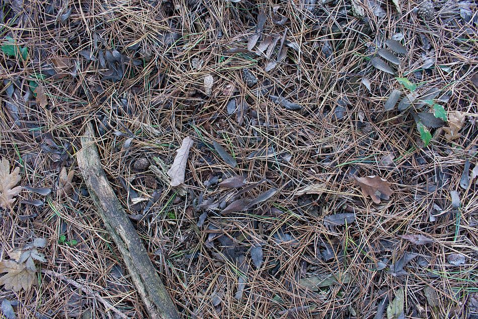 DSC_0561