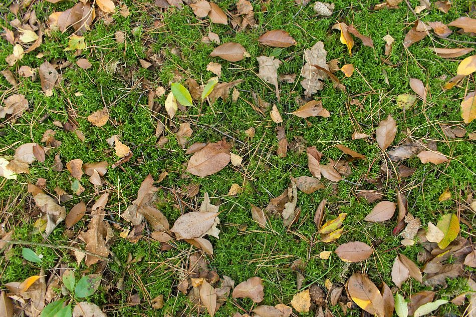 DSC_0639