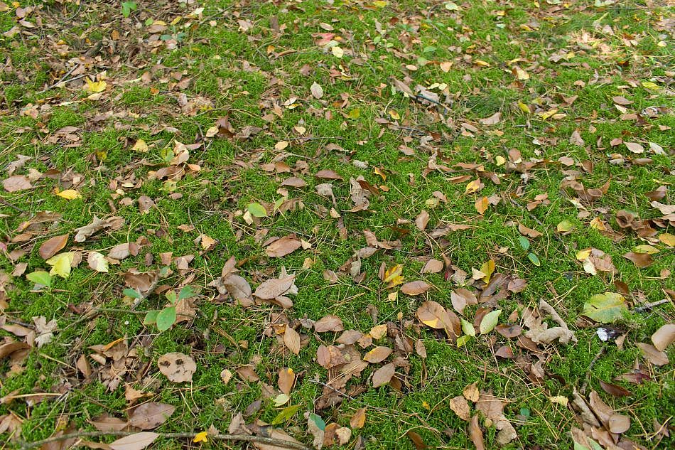 DSC_0641