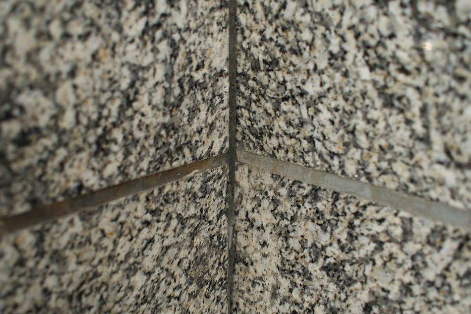 DSC_0884