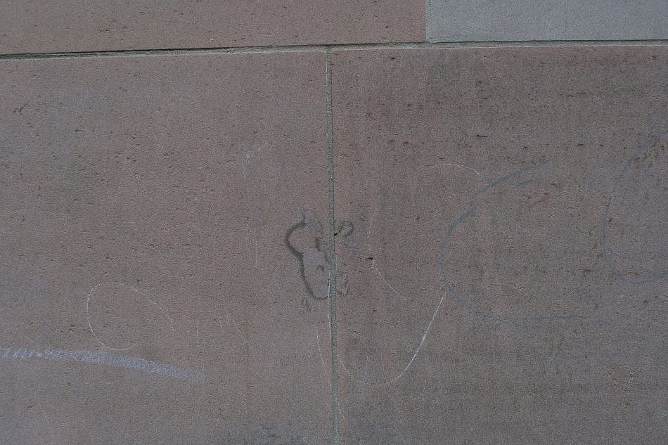DSC_0963