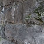 DSC_1025