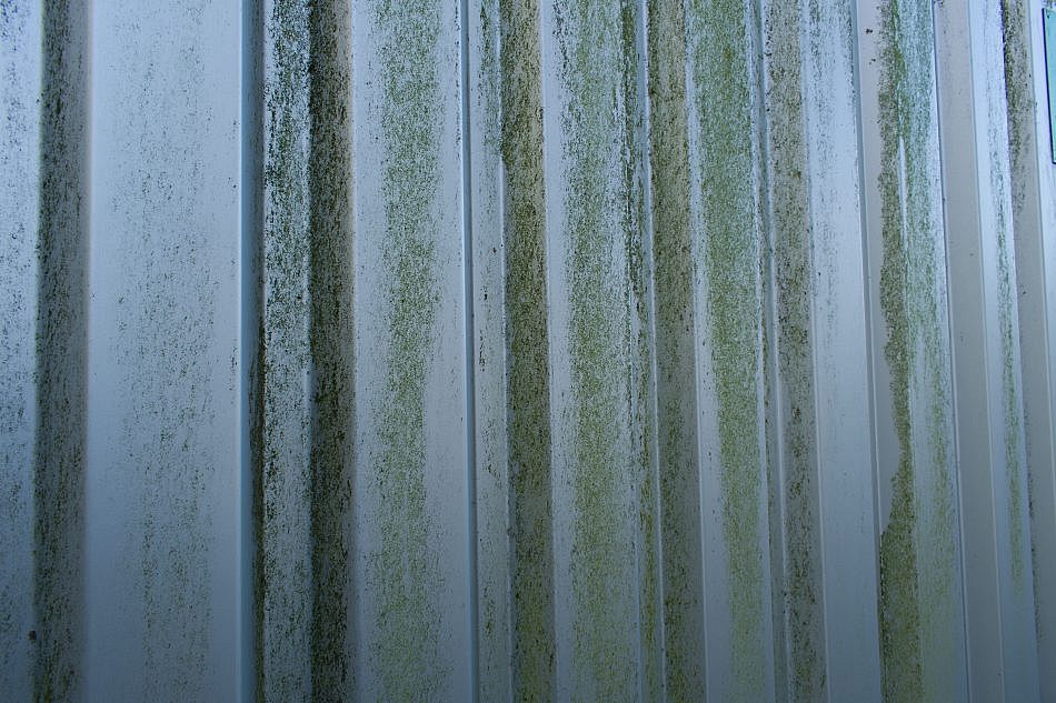 DSC_1174