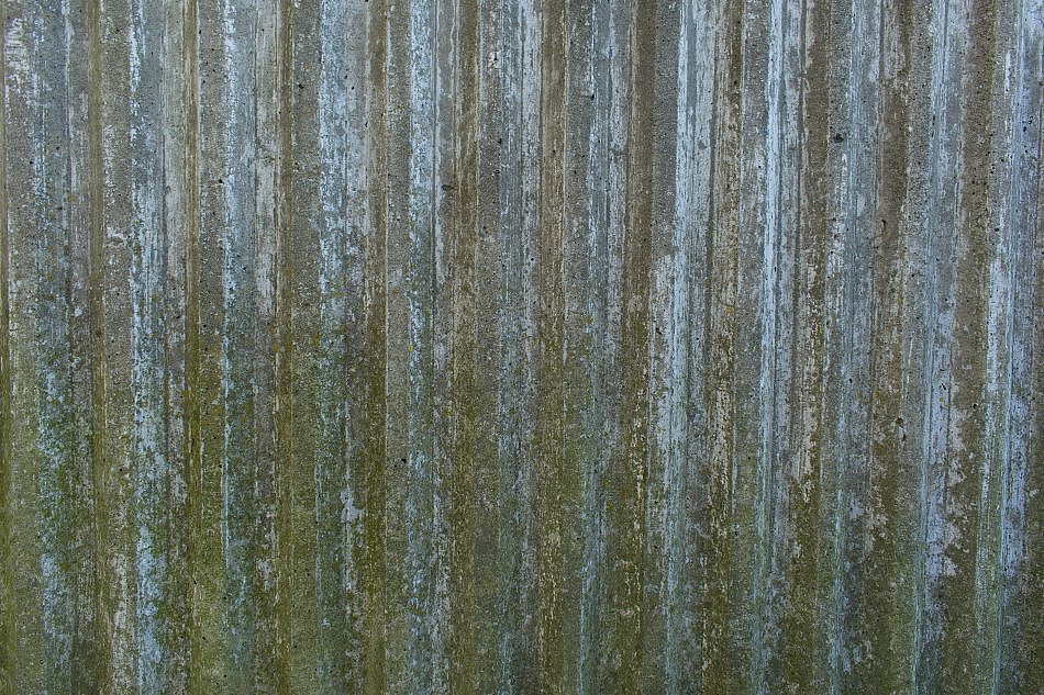 DSC_1199