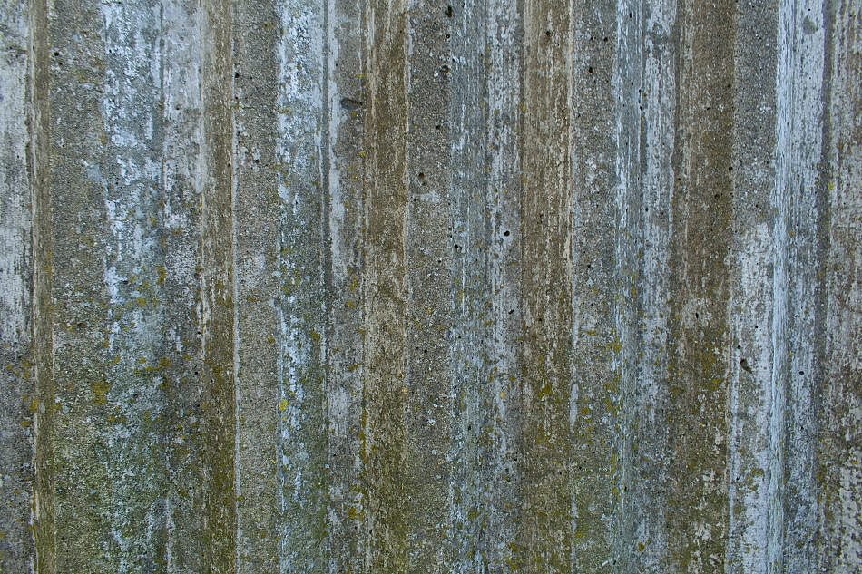 DSC_1200