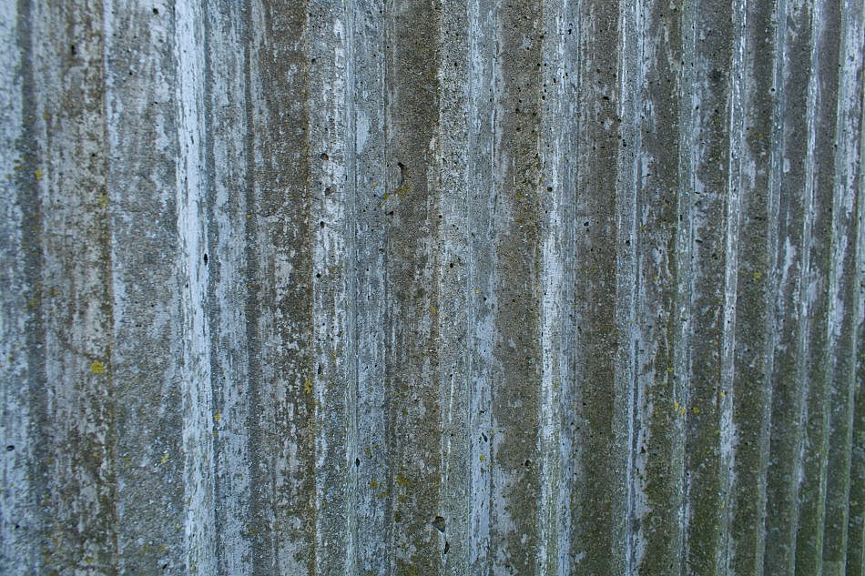 DSC_1202