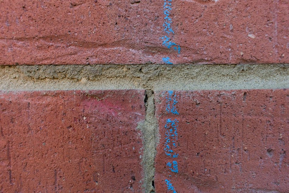 DSC_1212