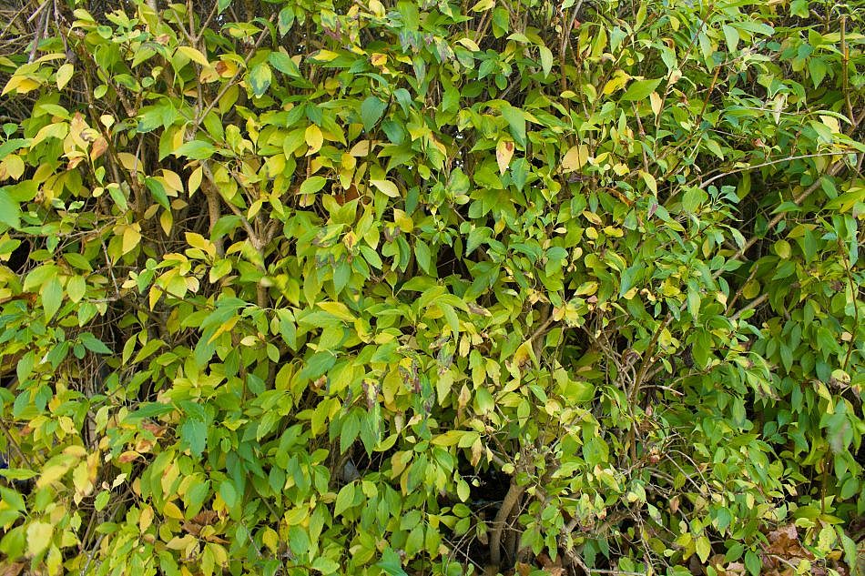 DSC_1216