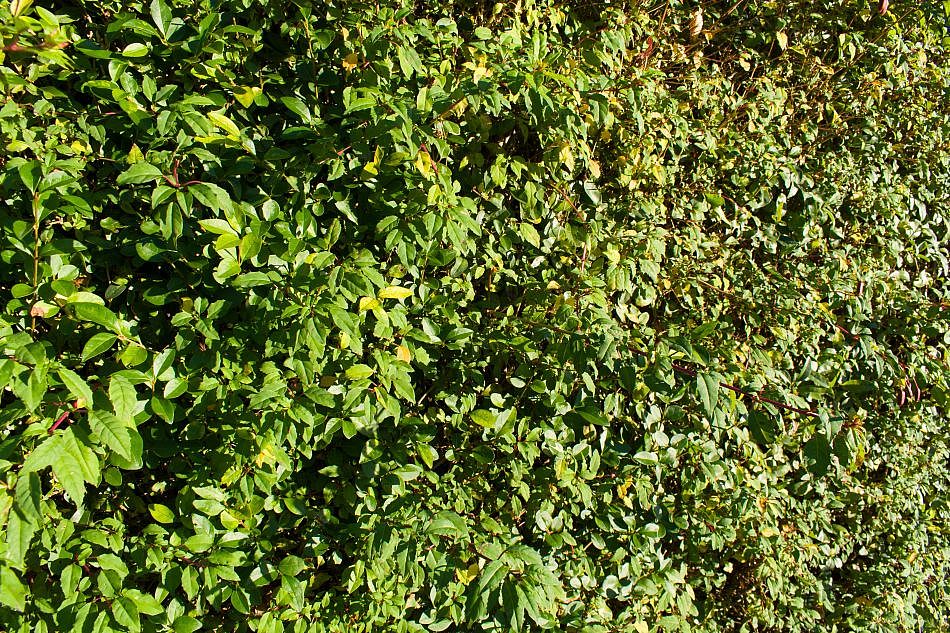 DSC_1240