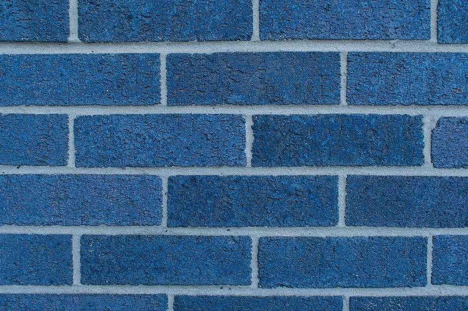 DSC_1342