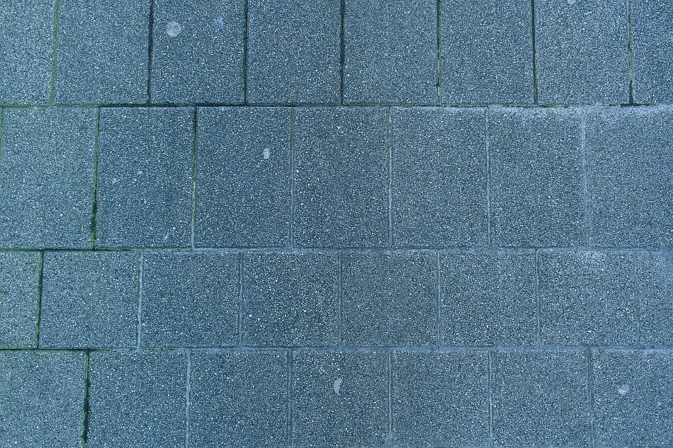 DSC_1359