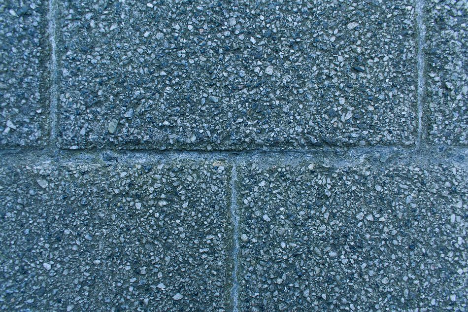DSC_1361