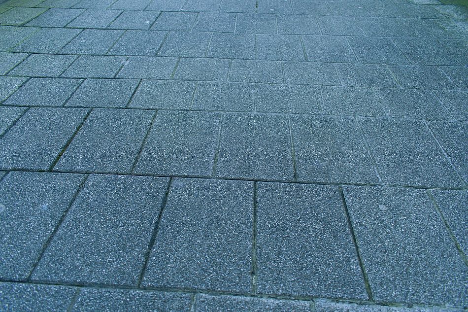 DSC_1362