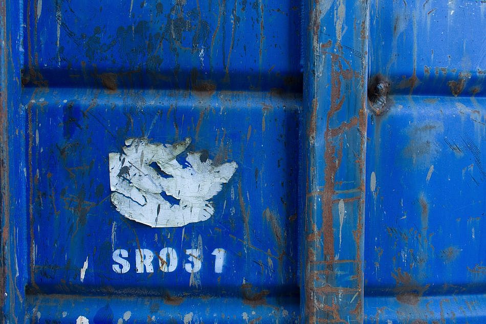 DSC_1398