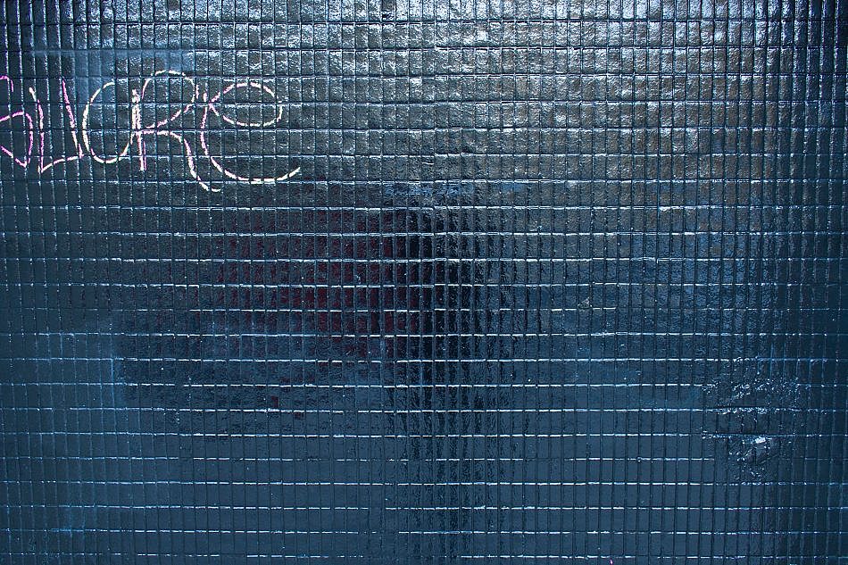 DSC_1426