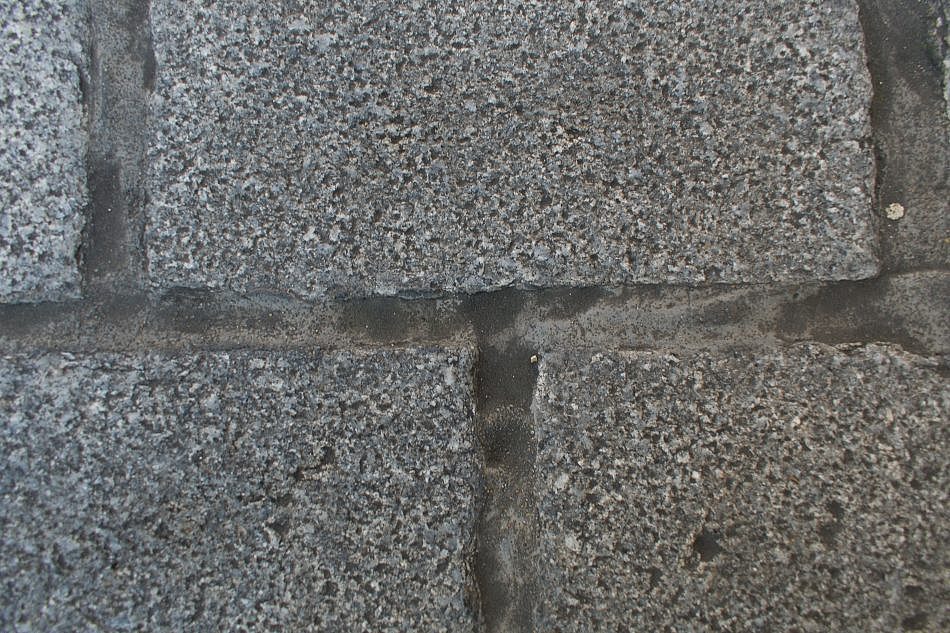 DSC_1526