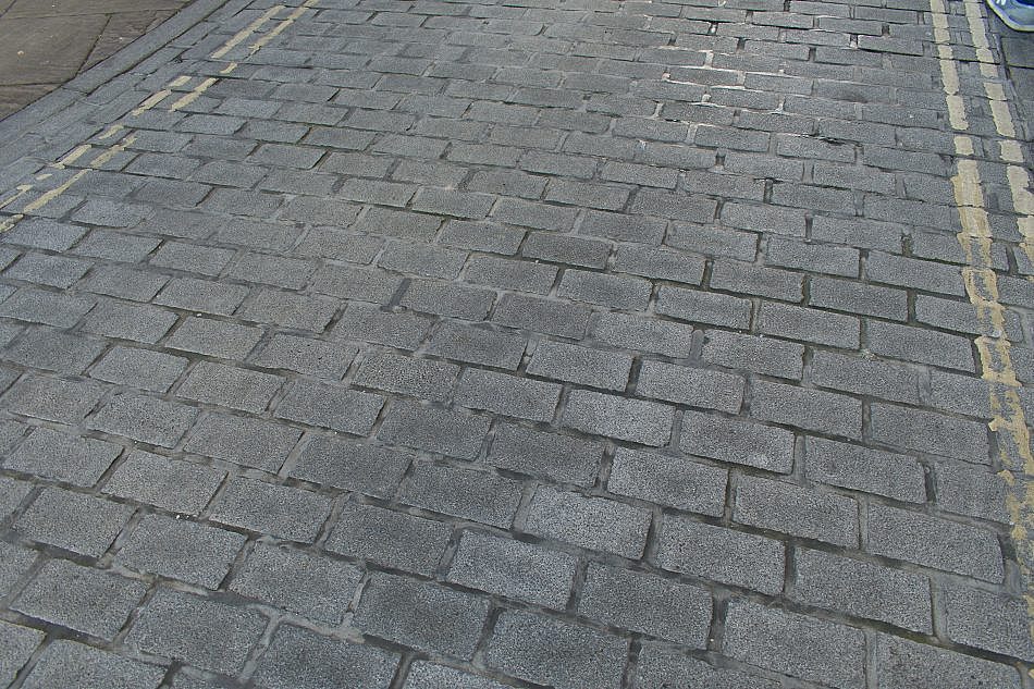 DSC_1527