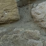 DSC_1549