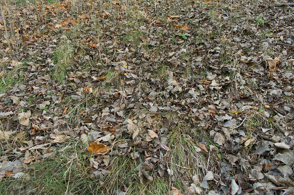 DSC_1566