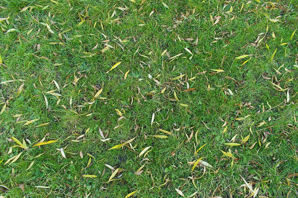 DSC_1583