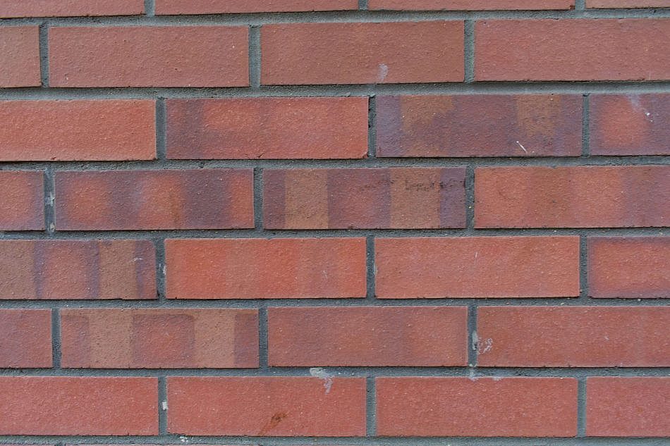 DSC_1603