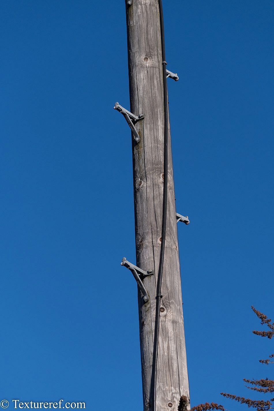 DSC_1904