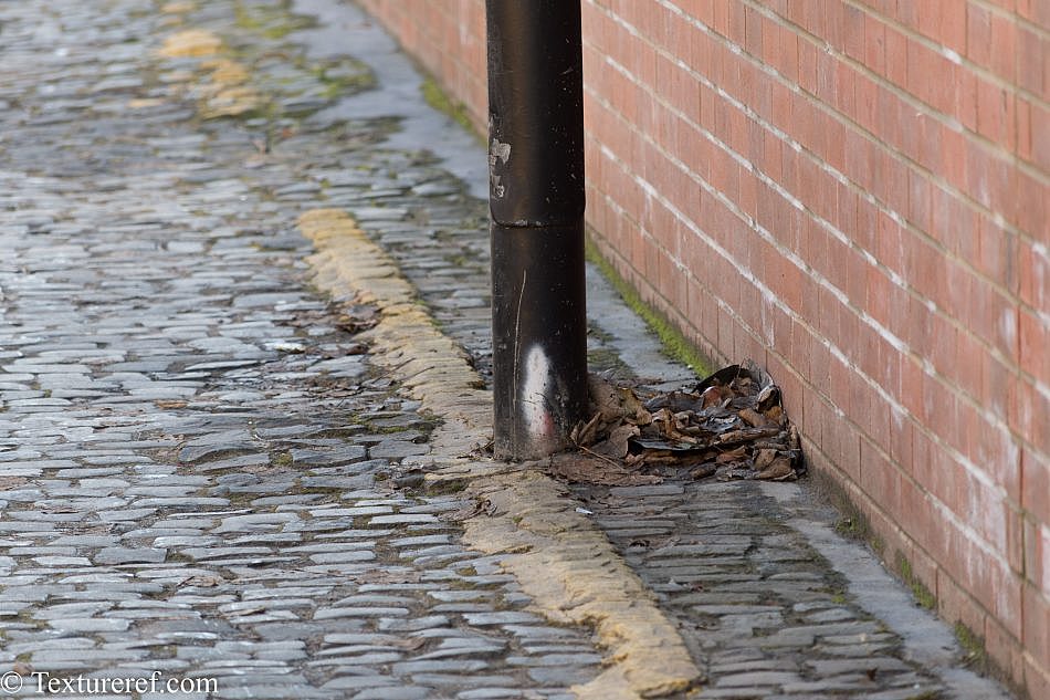 DSC_1907