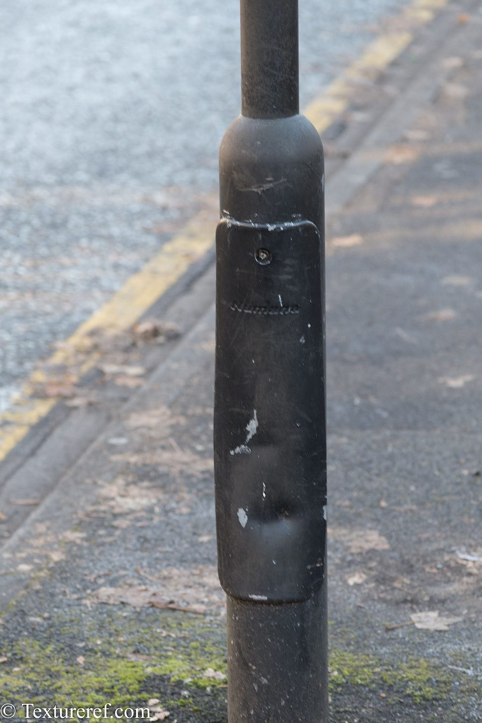 DSC_1910