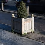 DSC_1920