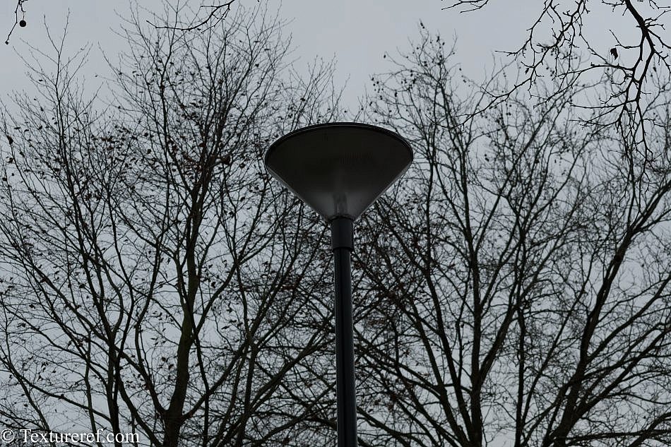 DSC_2131