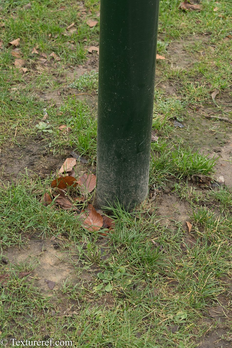 DSC_2132