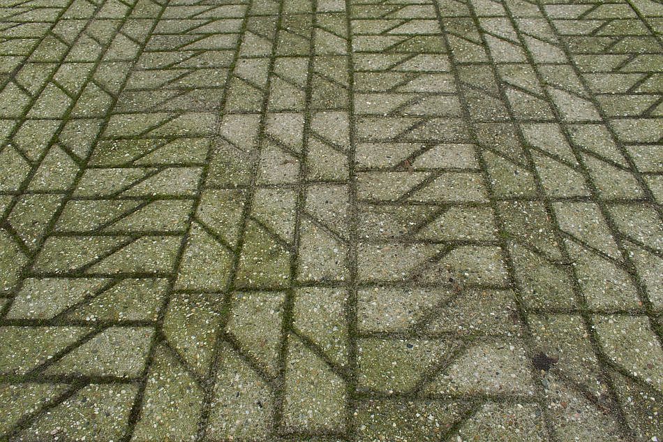 DSC_2175