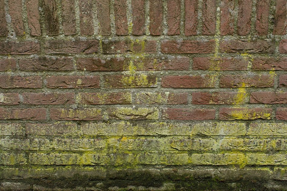 DSC_2186