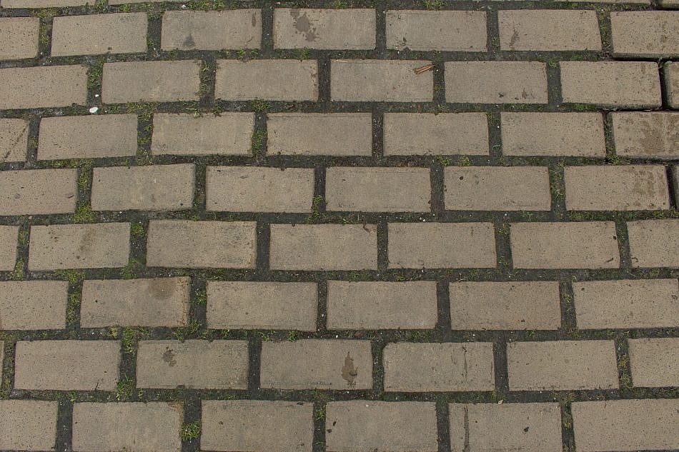 DSC_2215