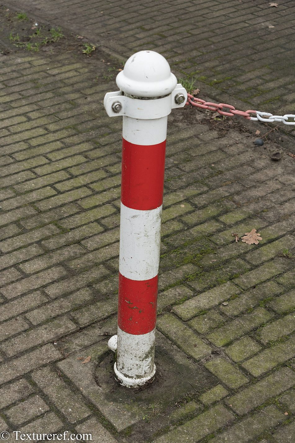 DSC_2226