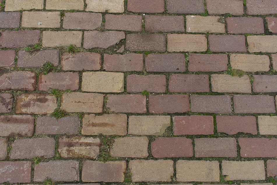 DSC_2303