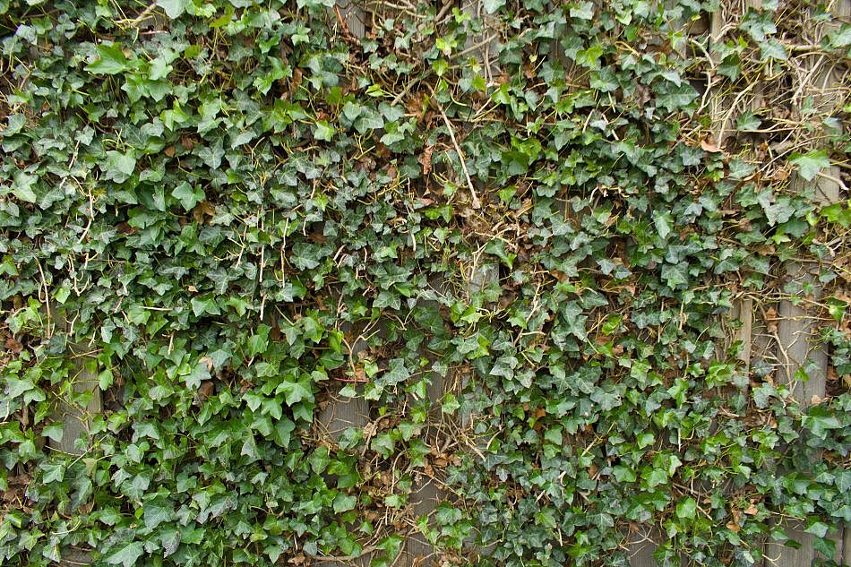 DSC_2337